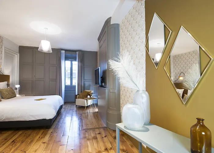 Mihotel Gailleton 酒店 里昂