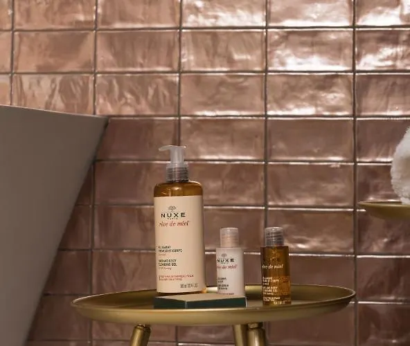 Mihotel Gailleton Lyon