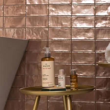 Mihotel Gailleton Lyon